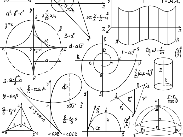 Schrempf Dóra - TV2